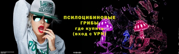 прущие грибы Алексеевка