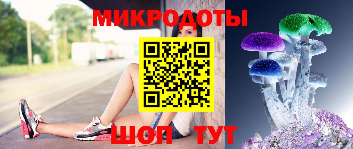 Псилоцибиновые грибы Psilocybine cubensis Ахтубинск